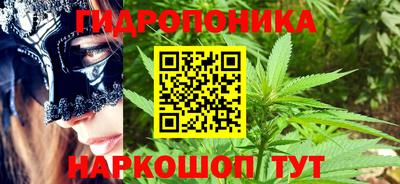 спиды Аргун