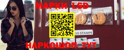 спиды Аргун