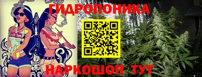 спиды Аргун