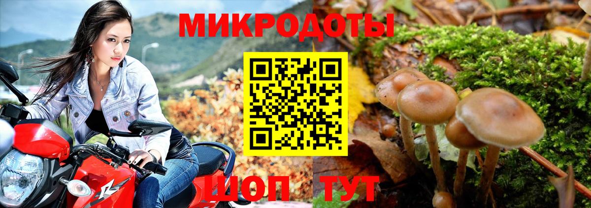 Псилоцибиновые грибы мухоморы Березники